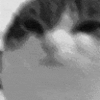 theone6435